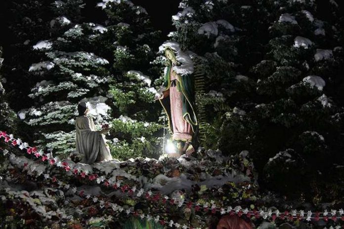 Des Plaines Matka Boża z Guadalupe