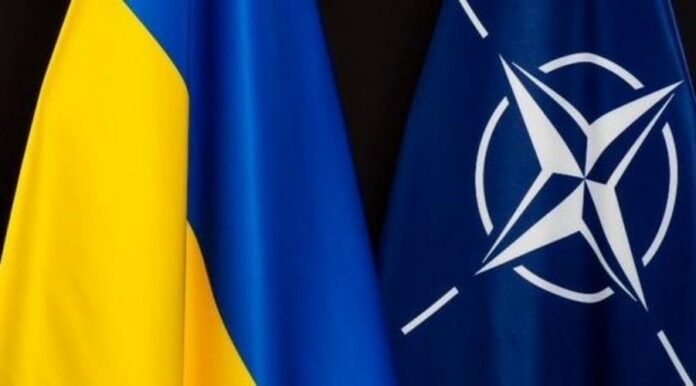 Ukraina NATO